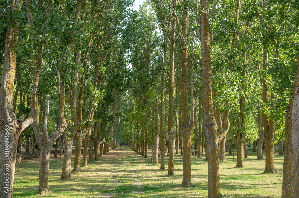 El Plant Parc in the city of Carrion de los Condes in Palencia, Spain in 2024.