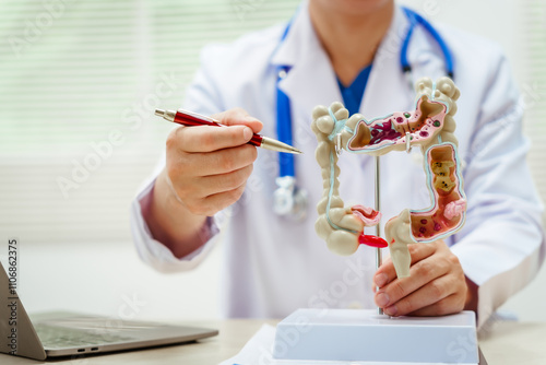 A male doctor wearing glasses sits at a desk, explaining an intestinal model, discussing anatomy, small and large intestine functions, colitis, colon cancer, appendicitis symptoms,digestive health