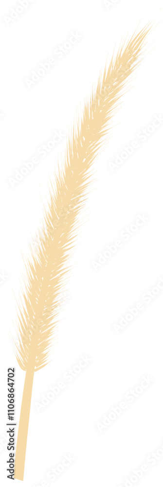 pampas grass pampas grass