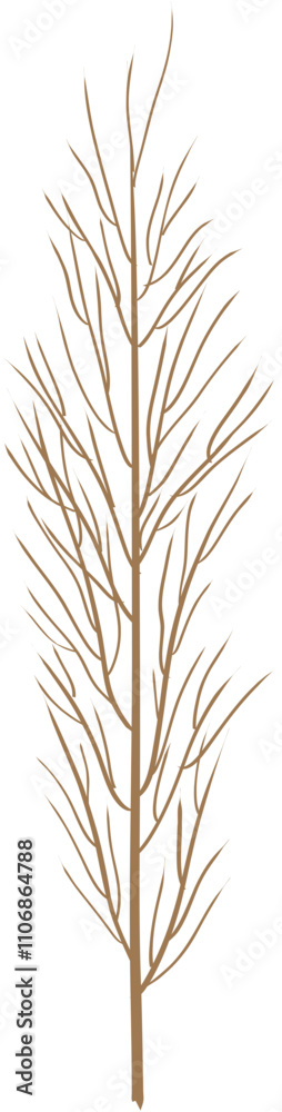 Fototapeta premium dried leaf decoration