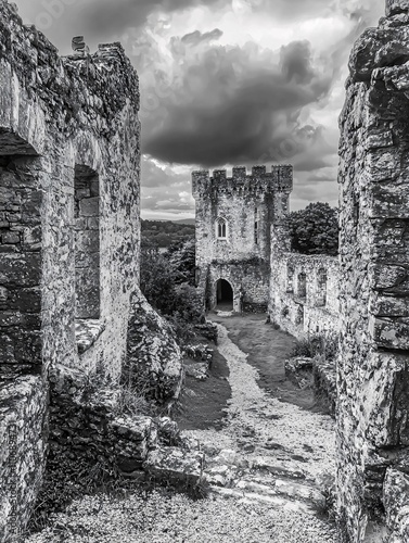 Black and white image of the ruins of Chepstow Castle, known as Castell Cas-gwent in Welsh, located in the UK. photo