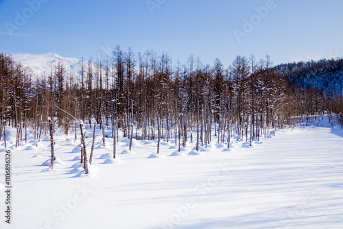 Wallpaper Mural 雪に覆われた青い池
 Torontodigital.ca