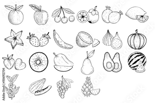 fruit pen drawing