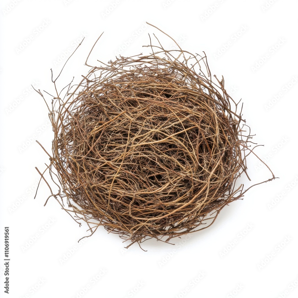 Obraz premium Tumbleweed isolated on white background