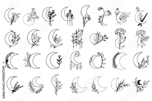 moon botanical pen drawing