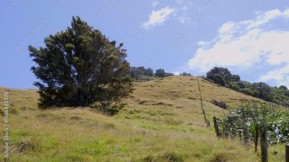 Mount Mauao - New Zealand nature. Tauranga. Generic New Zealand scenery Mount Mauao - New Zealand nature. Tauranga. Generic New Zealand scenery