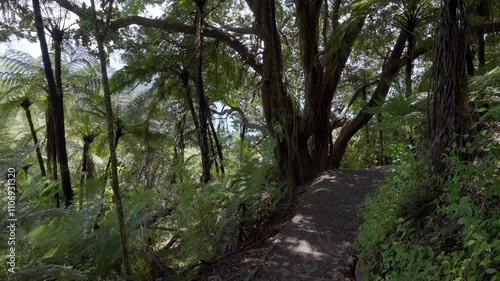 Passage trail in Tauranga - New Zealand in Mount Mauao. photo