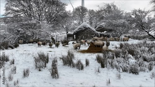 Drone captures wonder winter scenes and first snow of the season on sperrins in northern ireland photo