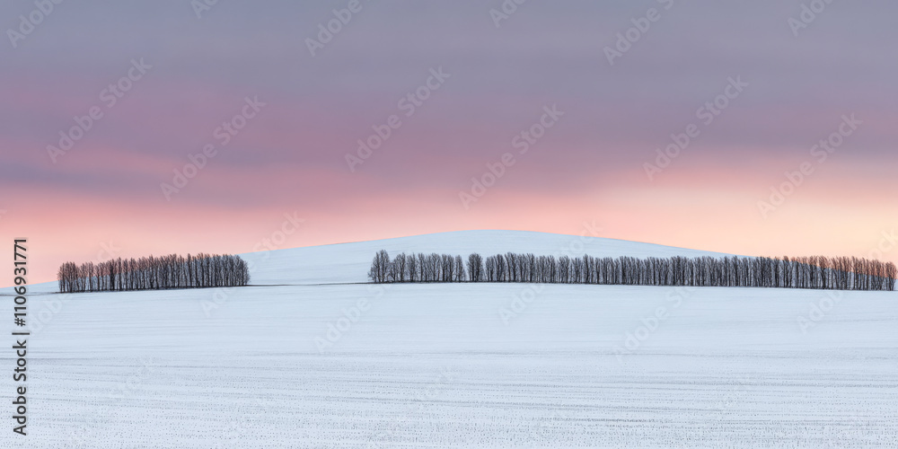 Fototapeta premium Snow-covered landscape at sunset with silhouettes of trees on a gentle slope