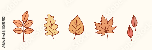 autumn leaves illustration. Vector autumn elements. Hand drawn style vector design illustrations.