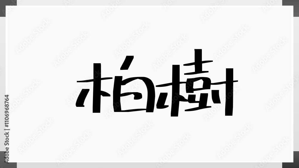 柏樹 のホワイトボード風イラスト 柏樹 のホワイトボード風イラスト