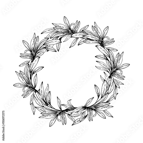 Olive tree branch, no fruit with leaves wreath Black and white hand drawn vector illustration. Fruitless rosemary, bay leaf circle frame for card, food cosmetic label Isolated line art from background