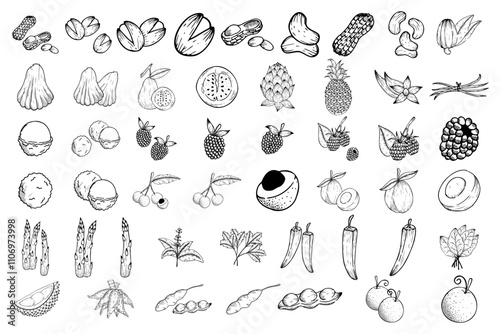 Fruit illustration pen drawing