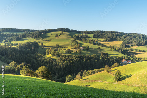 Hilly landscape of the Black Forest, with farmhouses and lush green meadows, St. Maergen, Baden-Wuerttemberg, Germany