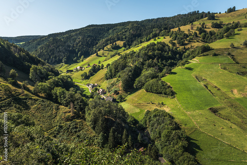 View of the Muenstertal Valley in the Black Forest region of Baden-Wuerttemberg, Germany photo