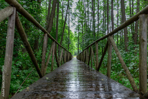 Wooden bridge in the forest on a rainy day