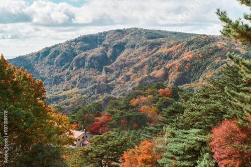 香川県小豆島：寒霞渓の紅葉