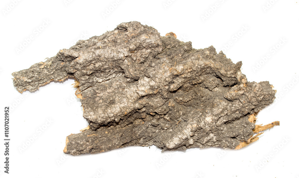 A piece of wood with a rough texture and a few holes