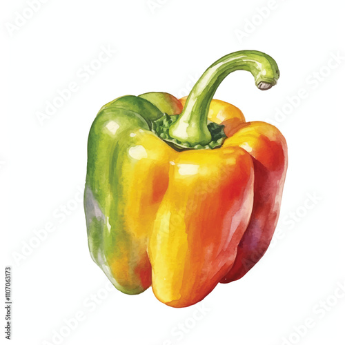 Watercolor Bell pepper isolated white background