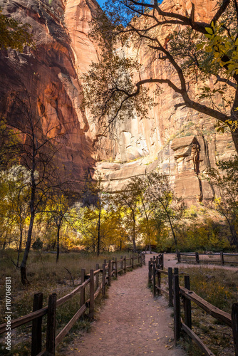 Exploring the scenic trails of Zion National Park photo