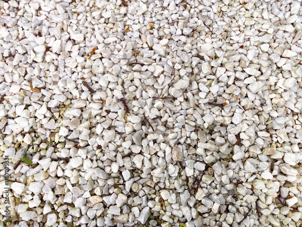A white gravel surface is spread around a garden pathway, with scattered leaves adding a touch of nature in daylight A white gravel surface is spread around a garden pathway, with scattered leaves adding a touch of nature in daylight