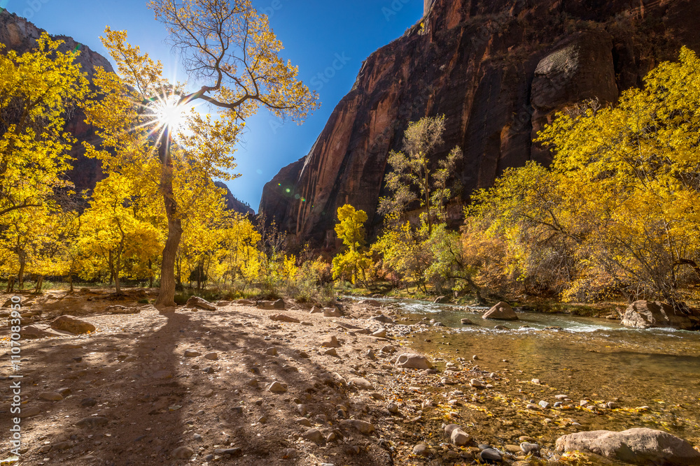 Zion's stunning autumn colors