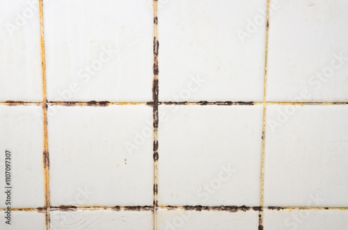 The tiles have mold stains in their grooves