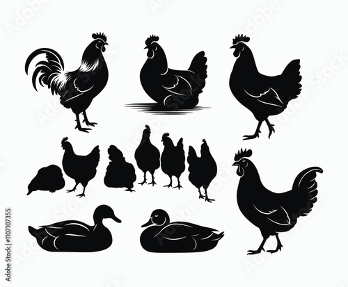 Elegant Rooster Hen Duck Silhouettes Vector Collection Template