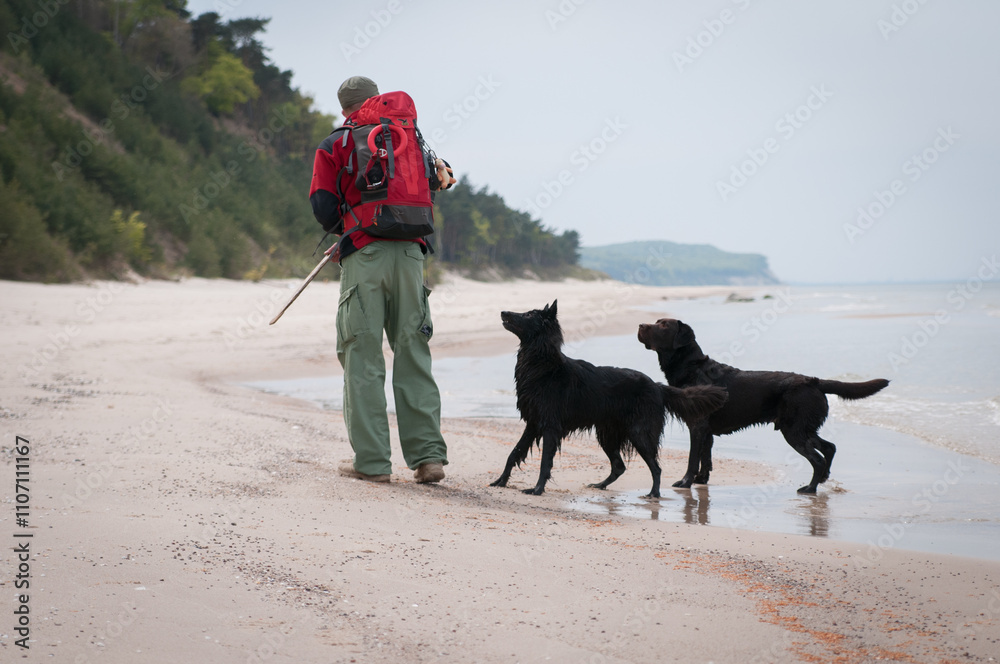 A man with two dogs on the sandy beach throwing a stick into the sea
