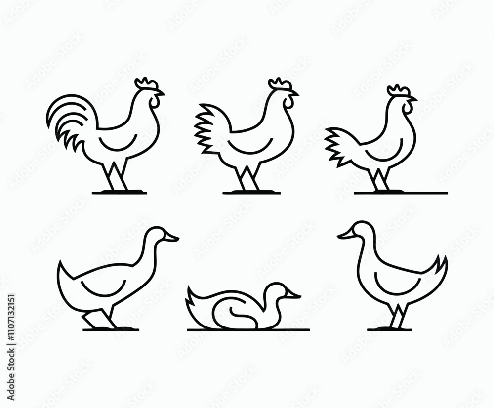 Fototapeta premium Sleek Poultry Silhouettes for Icon Design