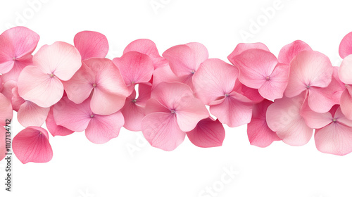 Elegant pink flowers on a striking black background, captivating image of blossoming beauty and delicate nature's contrast