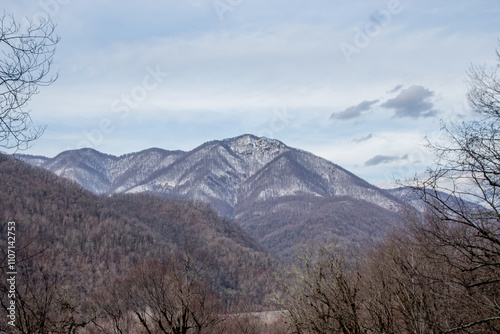mountain in winter