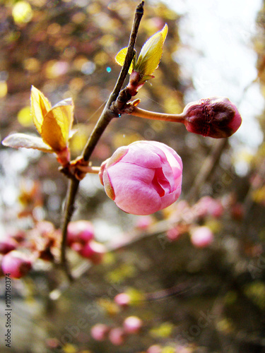Flower rolling