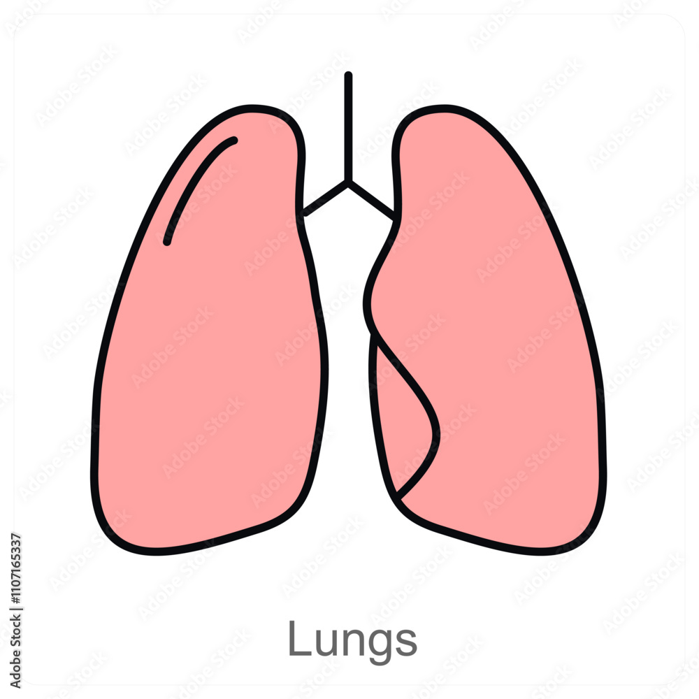 Lungs Lungs
