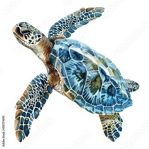 A watercolor painting of a Sea Turtle, isolated on a white background. Sea Turtle vector.