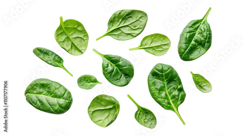 Fresh Spinach Leaves Isolated on White: Ultra Realistic, High Contrast, and Lifelike Accuracy in a Commercial-Style Top View Photograph.