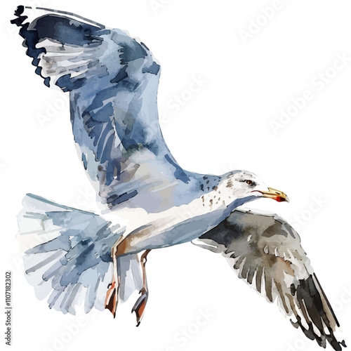 A watercolor of a Seagull, isolated on a white background. Seagull vector.