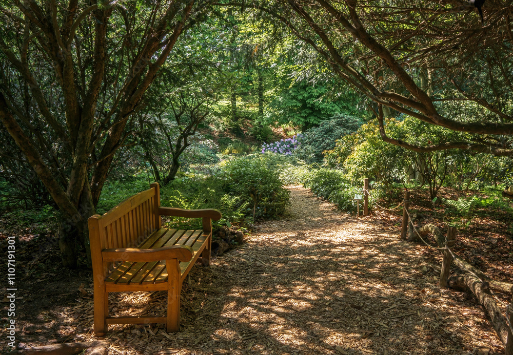 A bench in a garden surrounded by trees and flowers. A bench in a garden surrounded by trees and flowers.