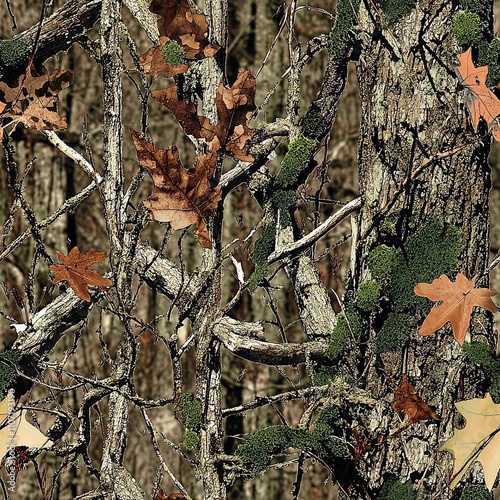 Mossy Moss Covered Oak Tree Forest, Tree Bark Tactical Oak Leaves Camo Pattern, Seamless Texture photo