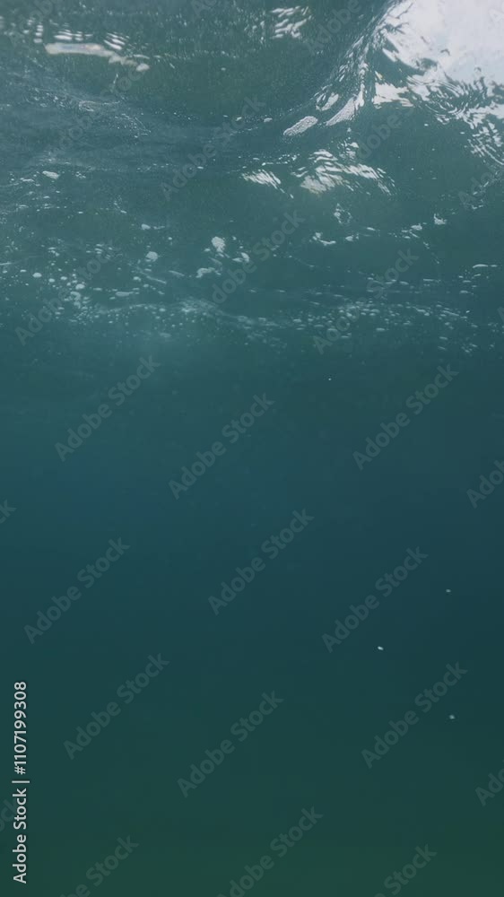 Amazing underwater scene effect with floating particles and plankton in macro and light rays shining through 4k abstract sea water background. Underwater sea ocean wave. Copy space, peaceful concept Amazing underwater scene effect with floating particles and plankton in macro and light rays shining through 4k abstract sea water background. Underwater sea ocean wave. Copy space, peaceful concept