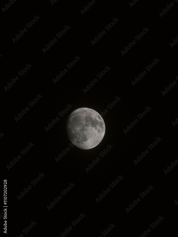 Fototapeta premium full moon in the night