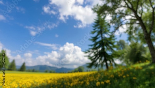 a blurry photo of a field of flowers and trees