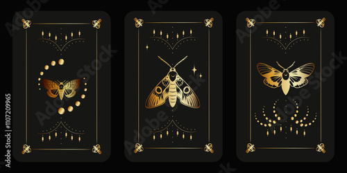 Tarot cover cards set. Reverse side for tarot card deck. Mystery esoteric background with gold moth and butterfly. Luxury card frames with golden lines and design elements.