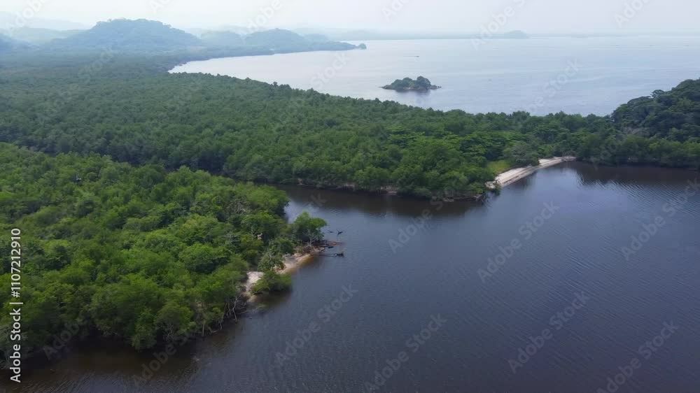 Aerial view of a mangrove coastal forest near an oceanic bay Aerial view of a mangrove coastal forest near an oceanic bay