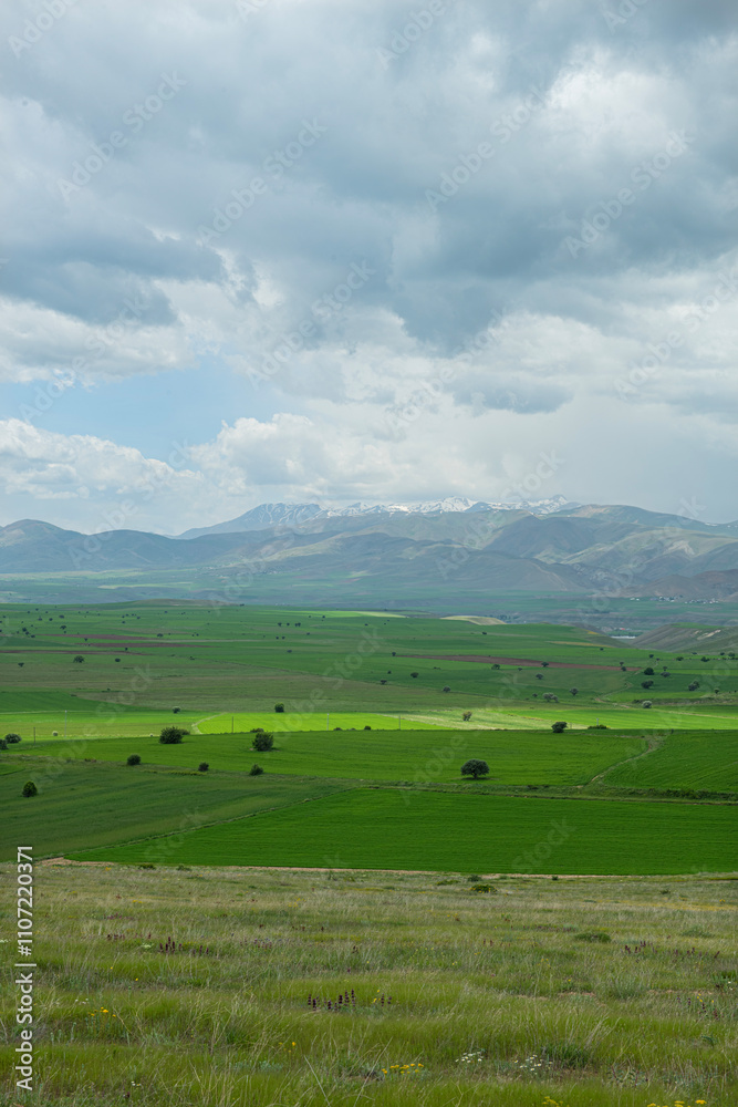 Green meadows blooming in spring and snowy mountains in the background. Green flat plains in cloudy sunny weather. Erzincan, Türkiye. Green meadows blooming in spring and snowy mountains in the background. Green flat plains in cloudy sunny weather. Erzincan, Türkiye.