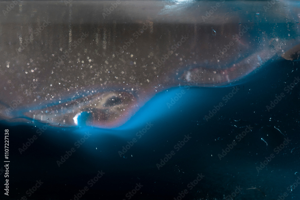 Fototapeta premium welle blau wasser flut kunst