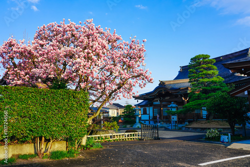南総里見八犬伝ゆかりの大岳院（鳥取県倉吉市）