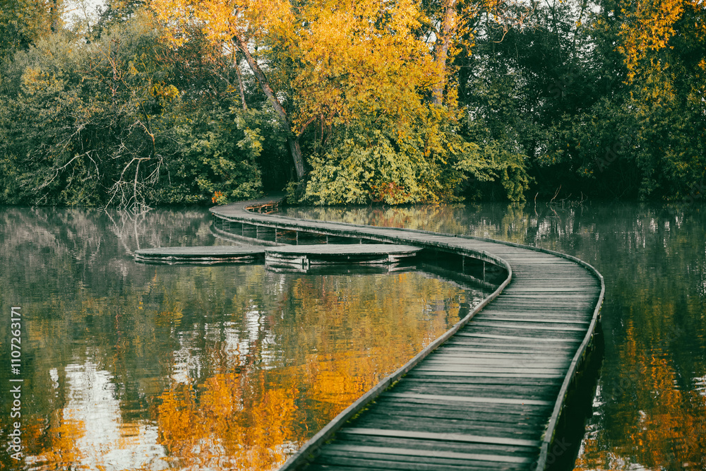 Naklejka premium A narrow wooden bridge gracefully curves over a calm pond, surrounded by vibrant autumn foliage in Vestec, near Prague. The tranquil setting captures the essence of the season.