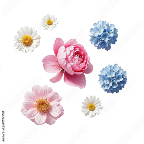 Beautiful flowers frame with transparent and high-quality background