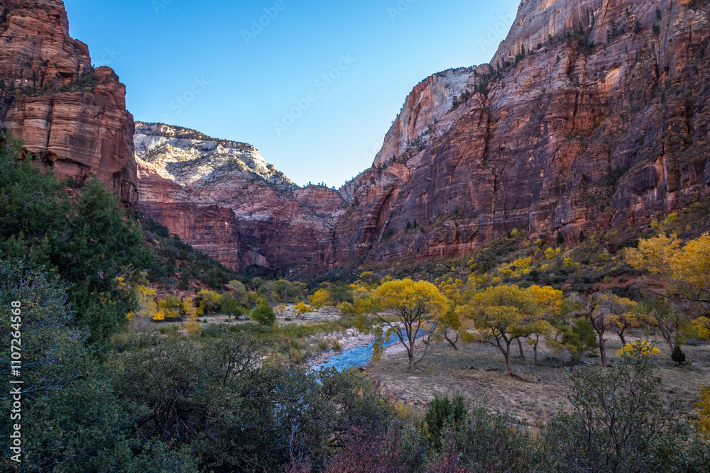 Cliffs rise above Zion's stunning trails